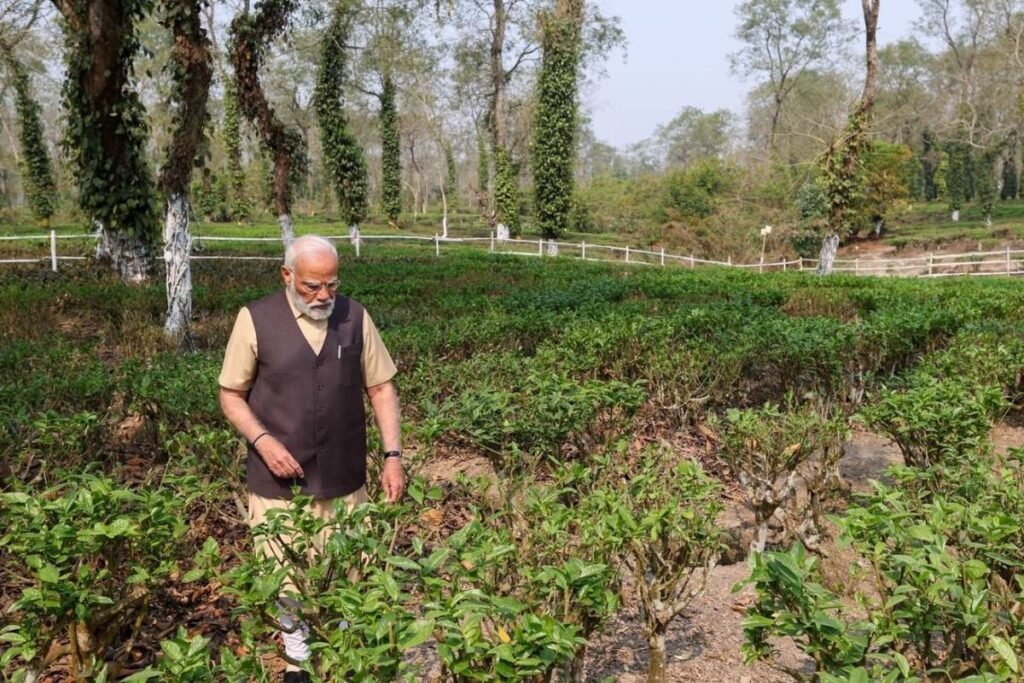 Prime Minister Narendra Modi Urges Tourists To Visit Tea Gardens In Assam